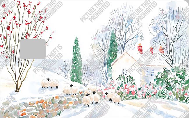 Bank  Card Sticker-BC-2672